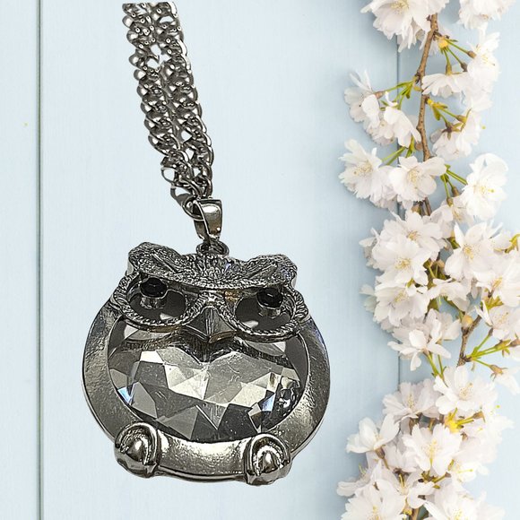 Majestic long necklace with an owl Pendant - Picture 1 of 2